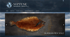 Desktop Screenshot of neptunetrading.com